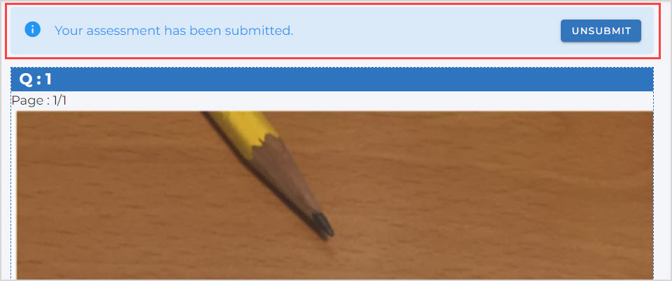 Message 'Your assessment has been submitted' appears above the uploaded files.